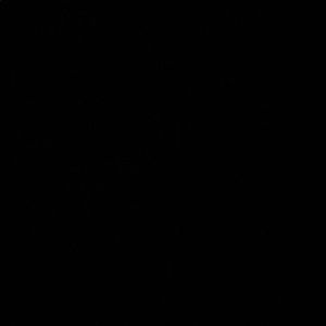 Meet your Posher, Avery